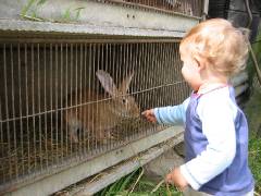 Kerian 57 J'en profite pour soigner les lapins !